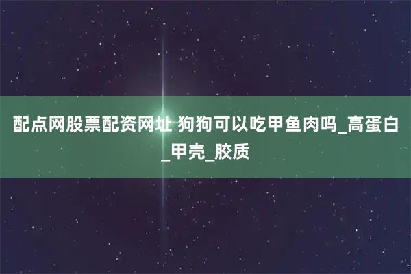 配点网股票配资网址 狗狗可以吃甲鱼肉吗_高蛋白_甲壳_胶质