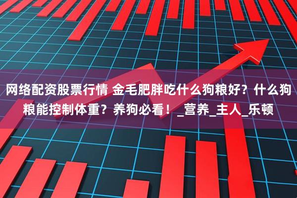 网络配资股票行情 金毛肥胖吃什么狗粮好？什么狗粮能控制体重？养狗必看！_营养_主人_乐顿