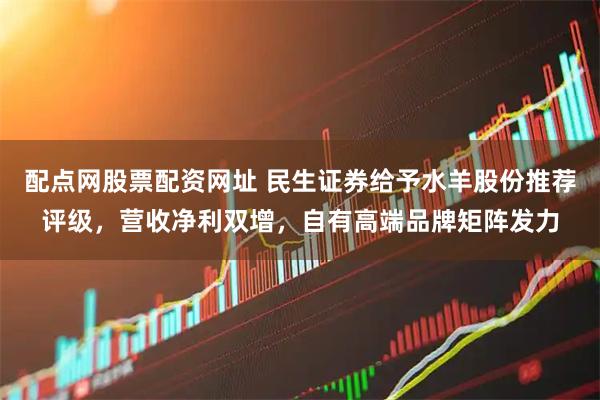 配点网股票配资网址 民生证券给予水羊股份推荐评级，营收净利双增，自有高端品牌矩阵发力