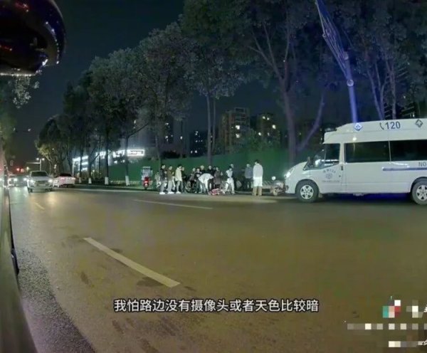 配点网股票配资网址 18岁女大学生骑车被未拴绳宠物狗绊倒，致颅骨骨折！交警认定狗主人全责