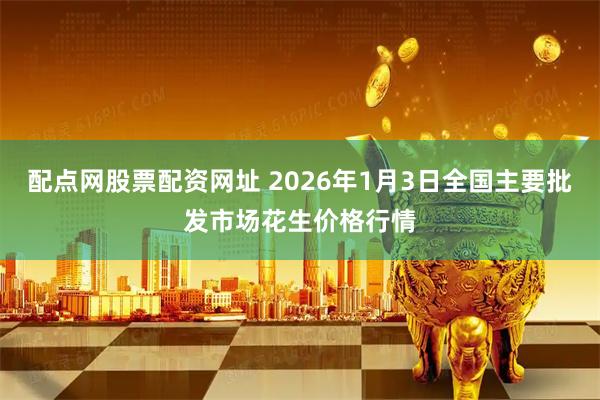 配点网股票配资网址 2026年1月3日全国主要批发市场花生价格行情